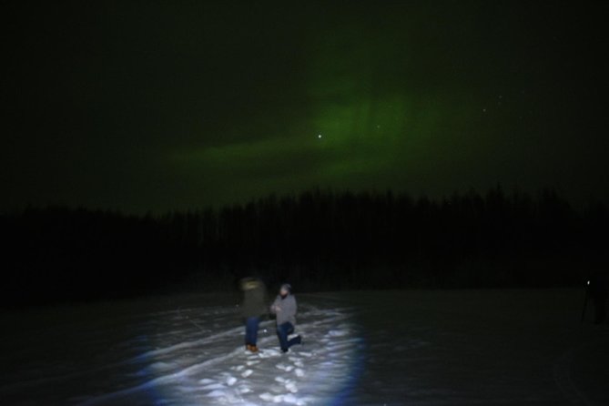 Northern Lights & Chena Hot Springs Tour - Key points at a glance