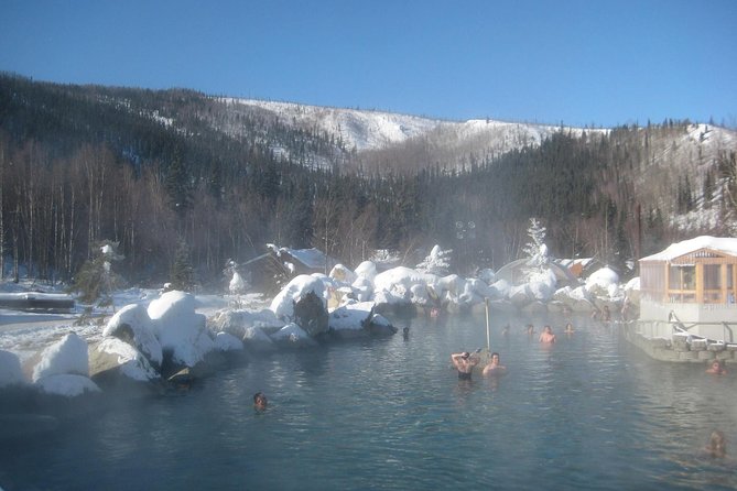 Northern Lights & Chena Hot Springs Tour - Who should book this outing