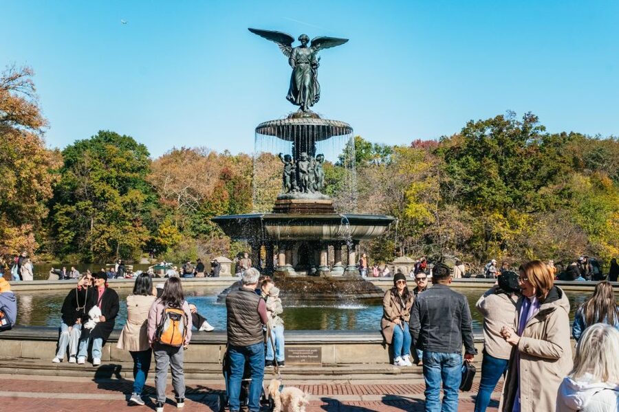 NYC: Central Park Guided Pedicab Tour - Key points to know before booking