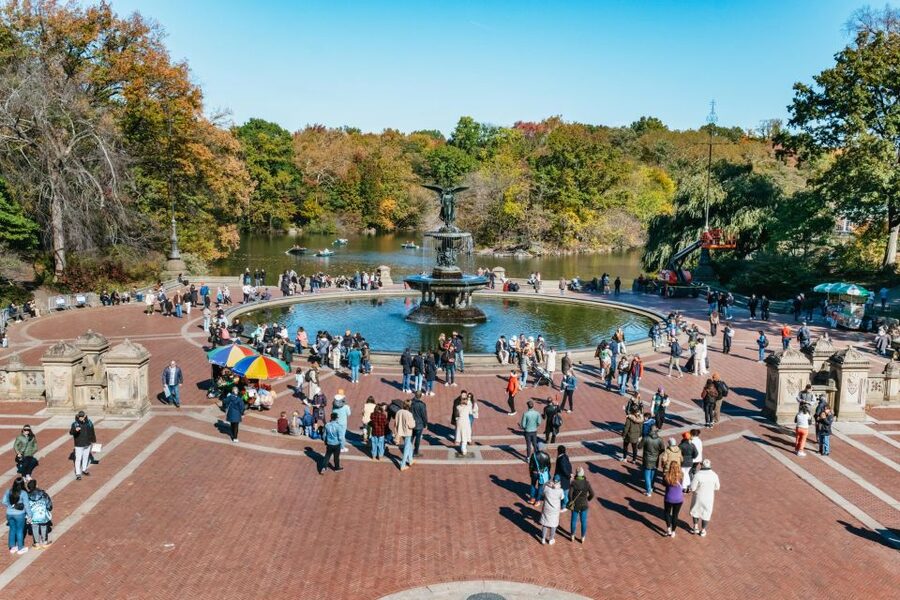 NYC: Central Park Guided Pedicab Tour - Museums, the reservoir, and northern Central Park