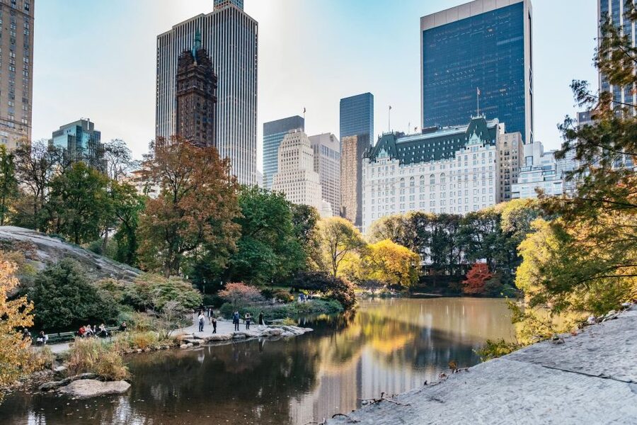 NYC: Central Park Guided Pedicab Tour - Sheep Meadow and the return through the park