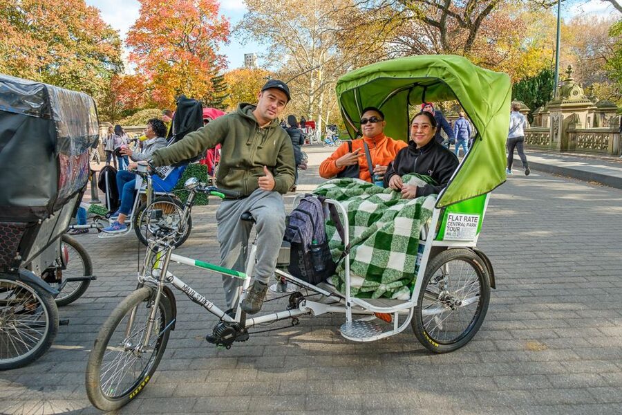 NYC: Central Park Guided Pedicab Tour - Starting near Sixth Avenue and entering the southern park