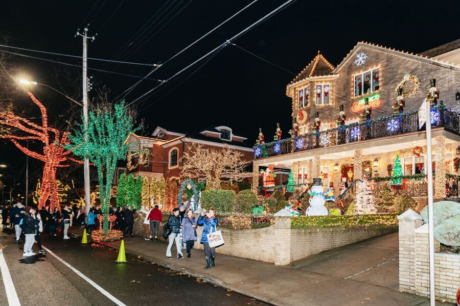 NYC: Dyker Heights Christmas Lights & Skyline View Bus Tour - Is $69 good value?