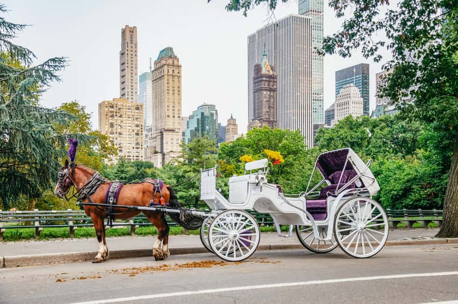 NYC: Guided Central Park Horse Carriage Ride - Key points to know before booking