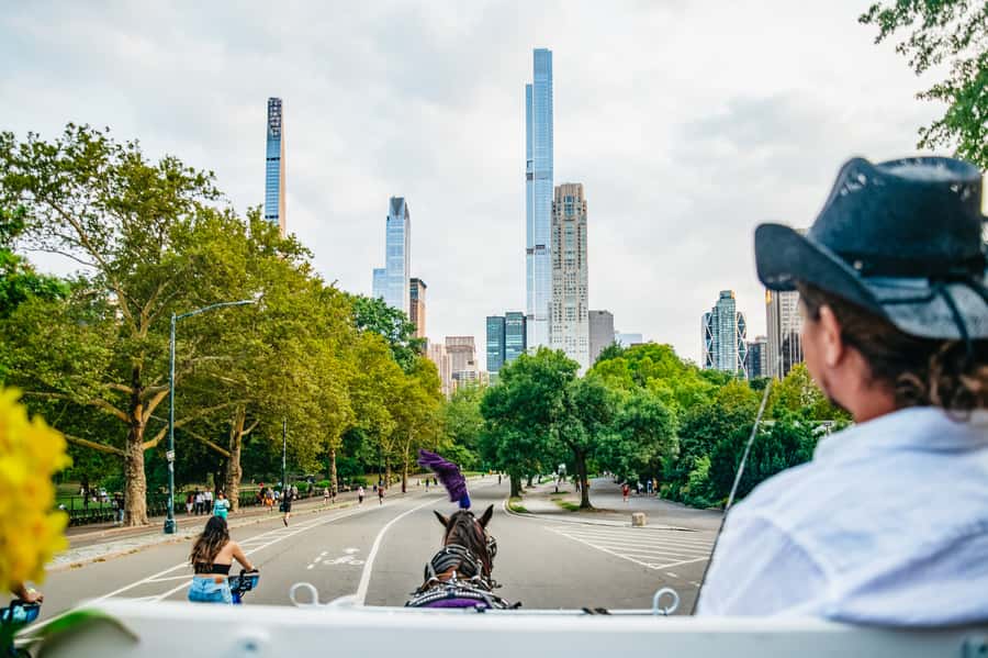 NYC: Guided Central Park Horse Carriage Ride - Who should book this Central Park ride?