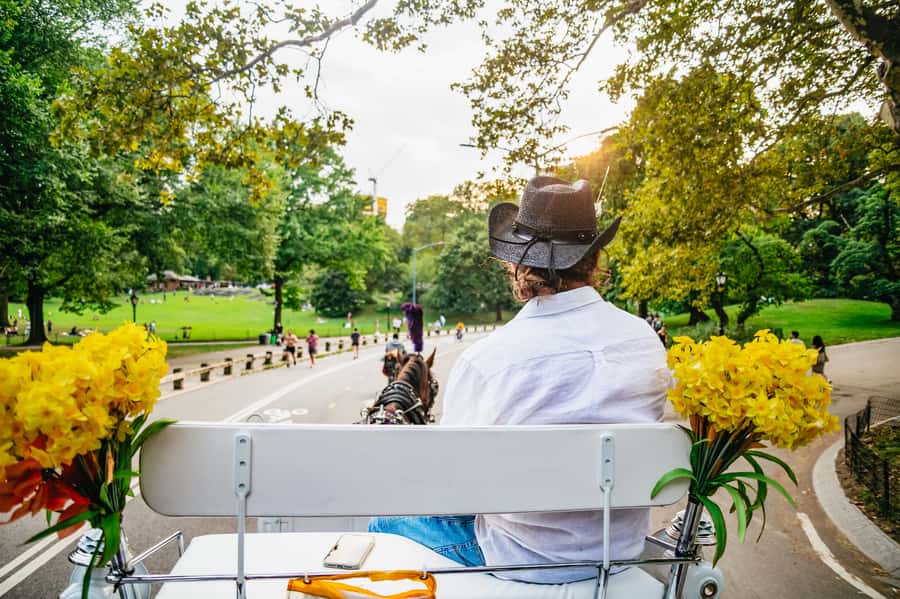 NYC: Guided Central Park Horse Carriage Ride - Why a horse carriage is a useful way to see Central Park