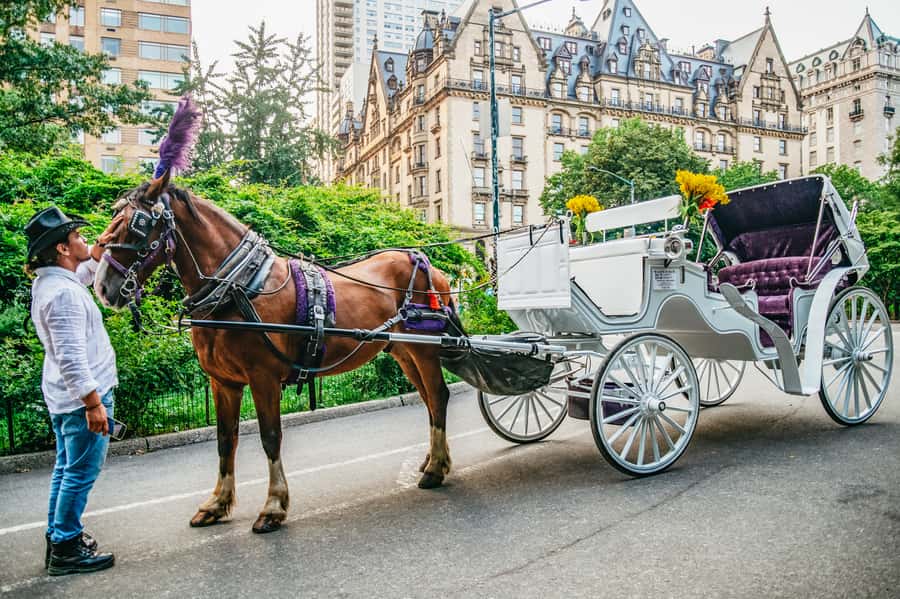 NYC: Guided Central Park Horse Carriage Ride - Literary Mall, Bethesda Fountain, and the best photo stop