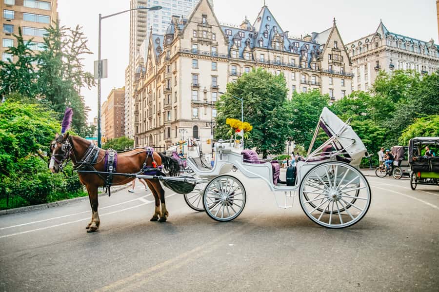 NYC: Guided Central Park Horse Carriage Ride - The Lake, Boat Pond, and Cherry Hill