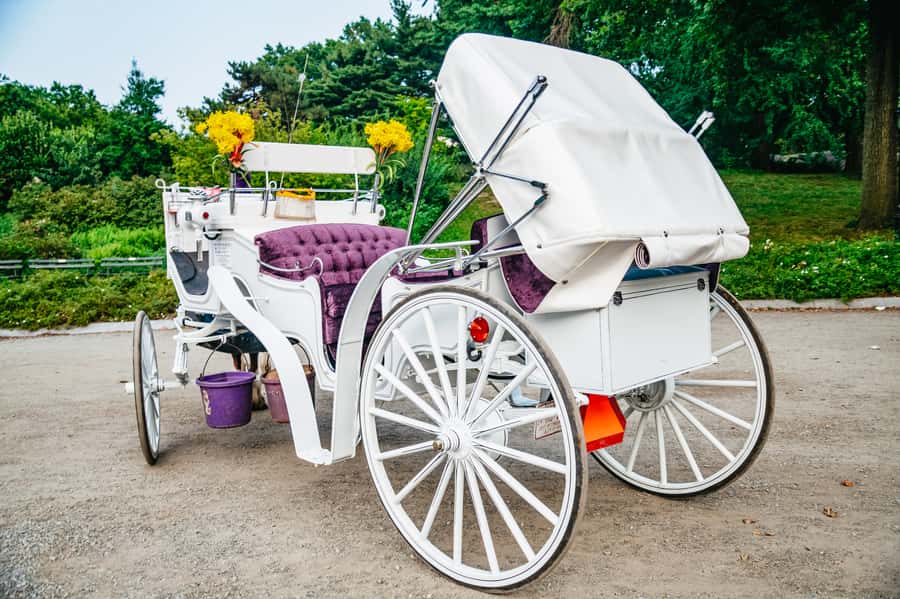 NYC: Guided Central Park Horse Carriage Ride - What the guides add to the ride