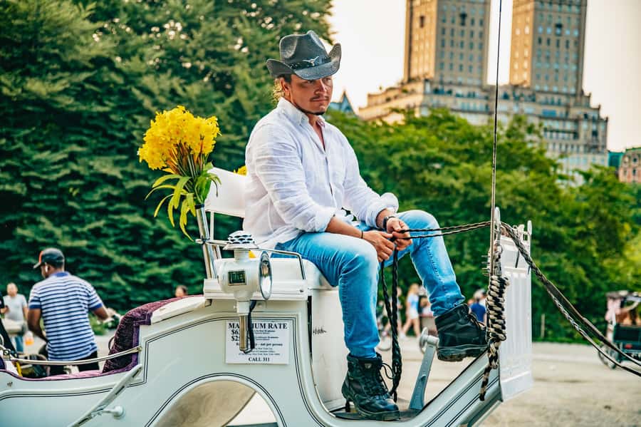 NYC: Guided Central Park Horse Carriage Ride - Horses, comfort, and weather