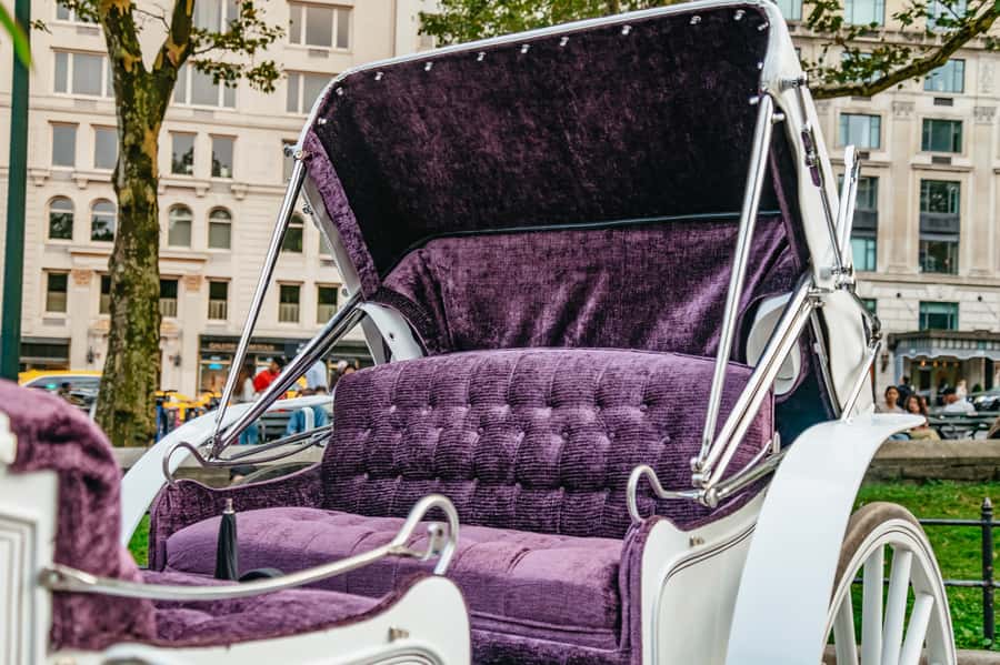 NYC: Guided Central Park Horse Carriage Ride - Is $155 good value for up to four people?