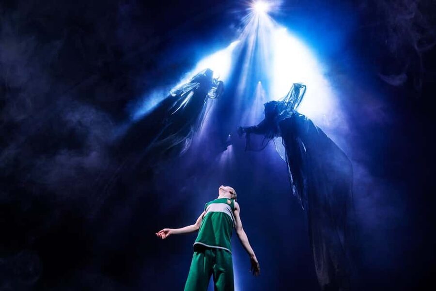 NYC: Harry Potter and the Cursed Child on Broadway - Key Points Before You Book