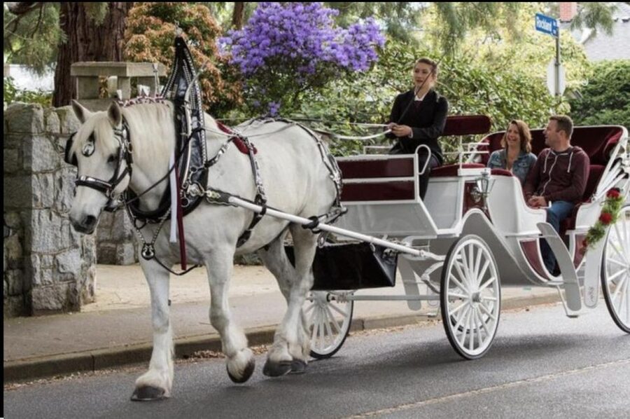 NYC: Private Central Park Horse Carriage Ride with Guide - Why a horse carriage ride works in Central Park
