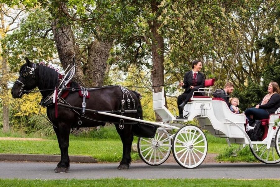 NYC: Private Central Park Horse Carriage Ride with Guide - The first clip-clop through Central Park