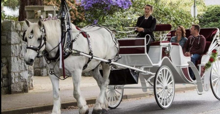 NYC: Private Central Park Horse Carriage Ride with Guide - Night rides, Fifth Avenue, and New York lights