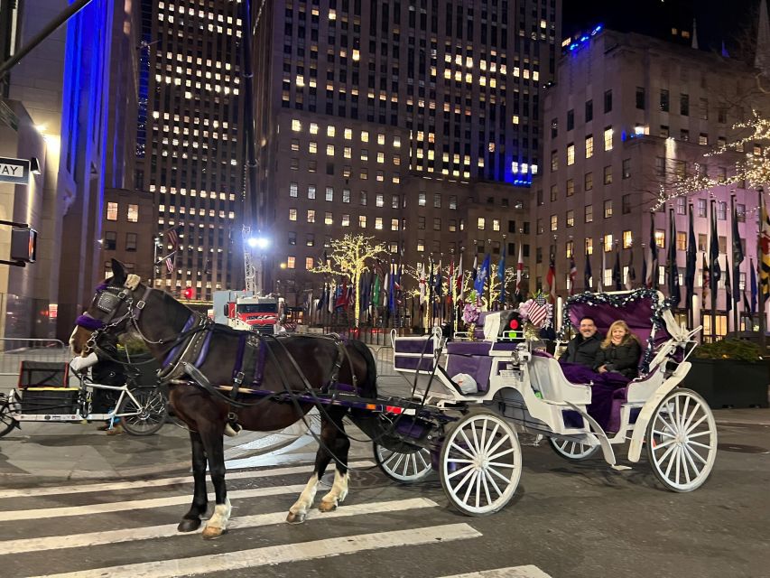NYC: Private Central Park Horse Carriage Ride with Guide - Is the advertised price good value?