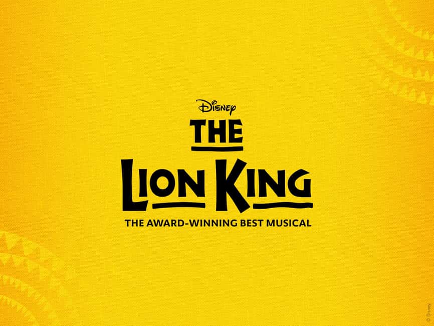 NYC: The Lion King on Broadway - From playful cub to future king