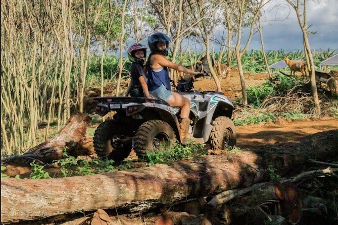 Oahu Beachfront ATV Adventure and Farm Tour - Farm conditions and the polished-versus-rustic tradeoff