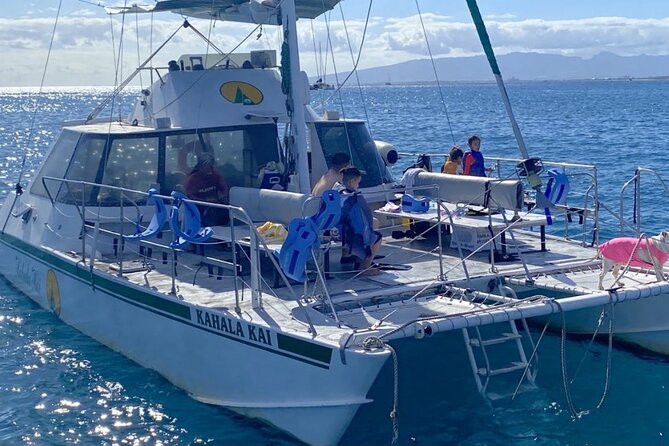 Oahu Catamaran Snorkel Tour: See Turtles 100% Guaranteed - Snorkeling with green sea turtles