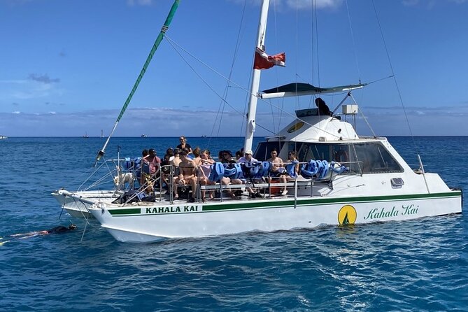 Oahu Catamaran Snorkel Tour: See Turtles 100% Guaranteed - Points to consider before booking