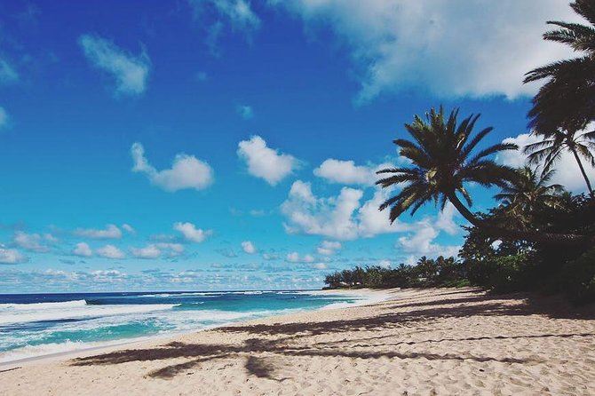 Oahu Circle Island Tour with Turtle Snorkeling— Small-Groups - An Early Waikiki Start Sets the Pace