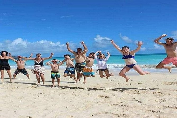 Oahu Circle Island Tour with Turtle Snorkeling— Small-Groups - Turtle Snorkeling Is the Day’s Big Payoff