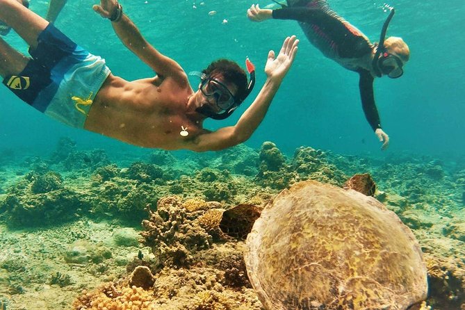 Oahu Circle Island Tour with Turtle Snorkeling— Small-Groups - Diamond Head and Halona Blowhole: Fast Views on the South Shore
