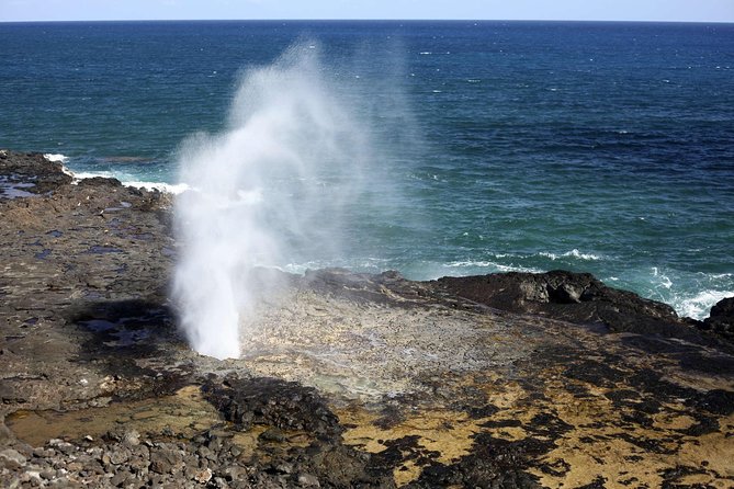 Oahu Circle Island Tour with Waimea Waterfall - Macadamia nuts, Kona coffee, and Kualoa views