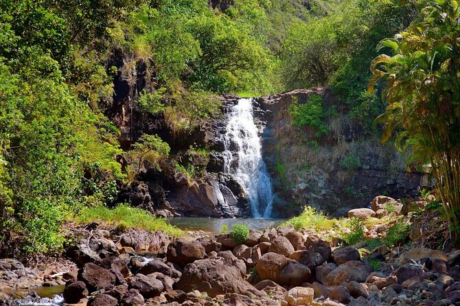 Oahu Deluxe Grand Circle Island Tour - Five things to know before booking