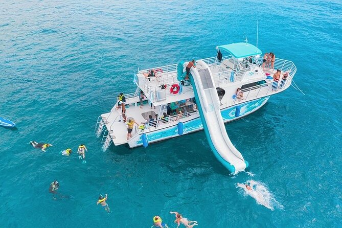 Oahu Dolphin and Snorkel Tour with Waikiki Pickup & Lunch - The details worth knowing before you book