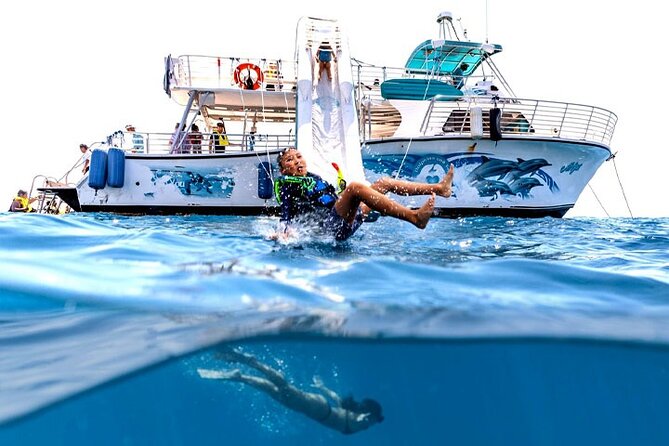 Oahu Dolphin and Snorkel Tour with Waikiki Pickup & Lunch - Why the trip heads to Waiʻanae
