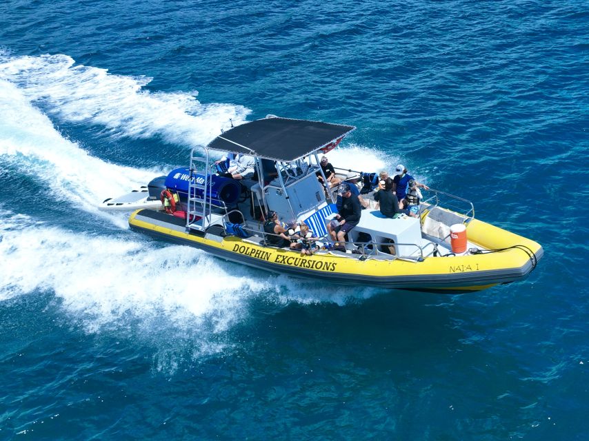 Oahu: Dolphin Swim and Turtle Snorkel Excursion in Waianae - Is $193 a fair price?