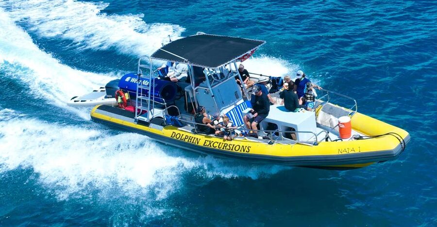 Oahu: Dolphin Swim and Turtle Snorkel Excursion in Waianae - A 32-foot boat and a real wildlife search