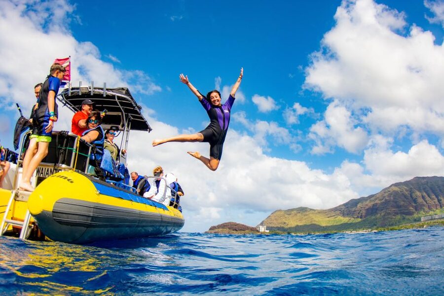 Oahu: Dolphin Swim and Turtle Snorkel Excursion in Waianae - Why the crew matters so much