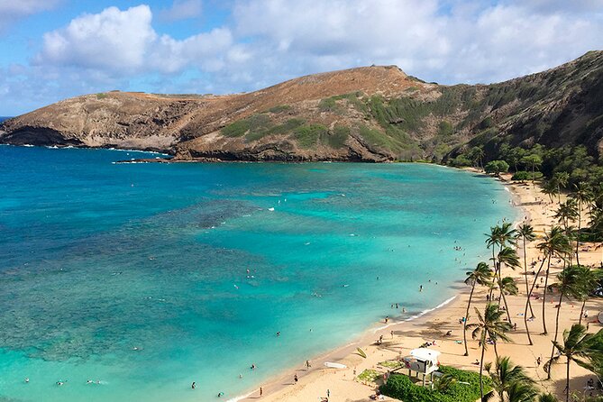 Oahu Grand Circle Island and Haleiwa Tour: 9-Hr Deluxe Experience - Tropical Farms adds a small taste of Hawaii