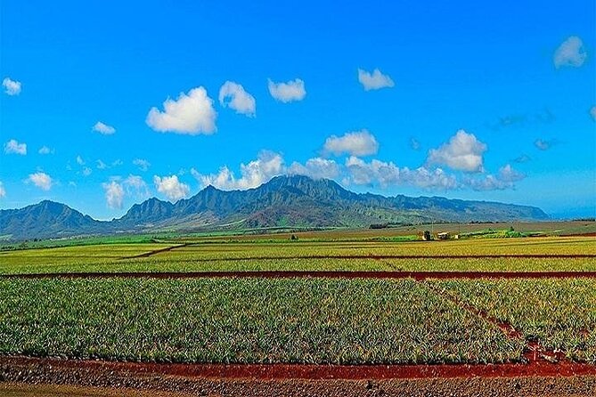 Oahu Grand Circle Island Experience from Waikiki - The North Shore Surf Route