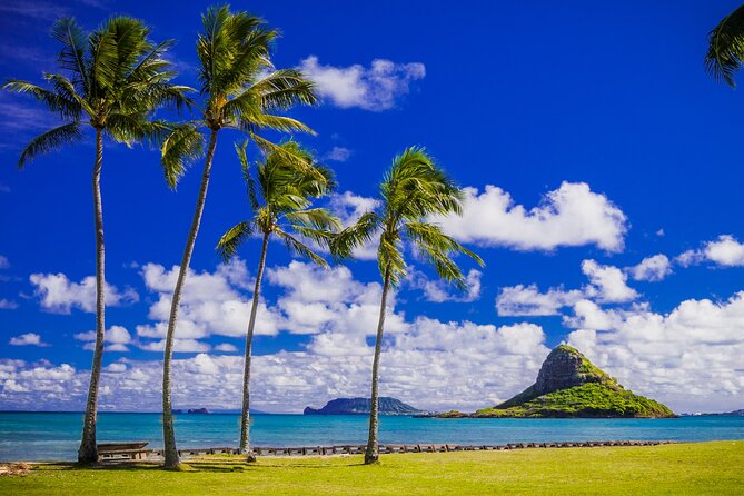 Oahu: Grand Tour Around Island 16 Locations plus Snorkeling - Fruit stands, farms, and the price of convenience