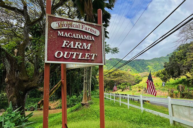 Oahu Island Experience feat the North Shore (Small Group Tour) - Kahuku Food Trucks: The Day’s Biggest Variable