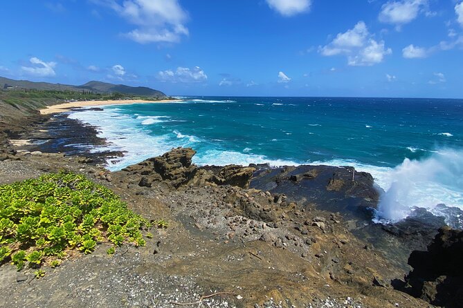 Oahu Island Experience feat the North Shore (Small Group Tour) - Sunset Beach and Winter Surf