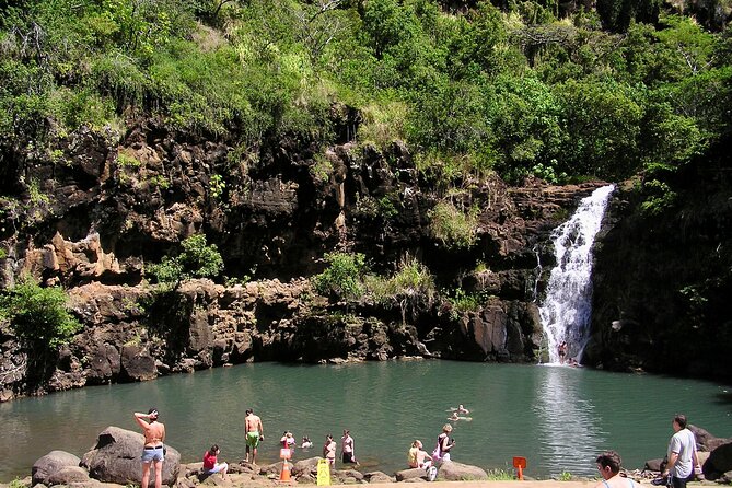 Oahu North Shore Experience: Activities, Waterfall & Free Time - Why this North Shore tour works well