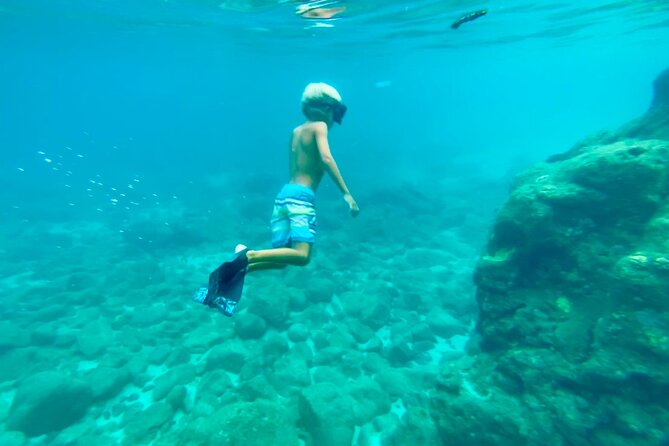 Oahu North Shore Experience: Activities, Waterfall & Free Time - What is included for the $167.53 price