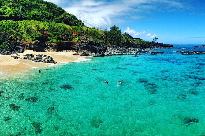 Oahu North Shore Experience: Activities, Waterfall & Free Time - The minibus, pace, and group size