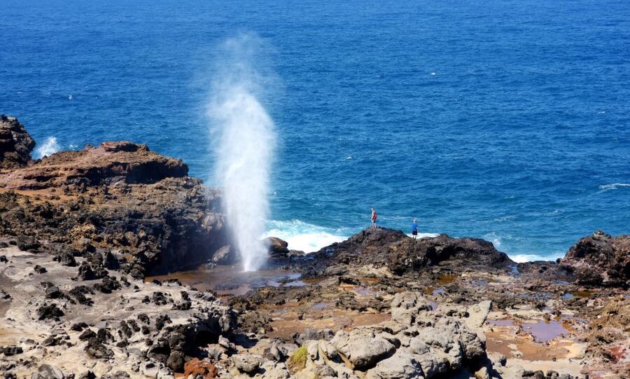 Oahu: Oahu Ultimate Grand Circle Island Tour - What this $84 Oahu tour really gives you