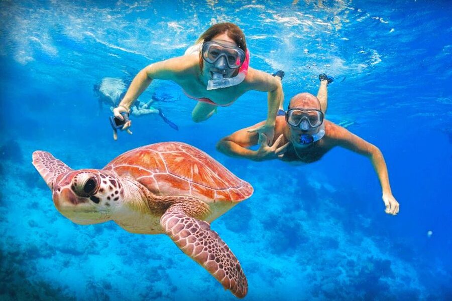 Oahu: Oahu Ultimate Grand Circle Island Tour - Kahuku shrimp and North Shore scenery