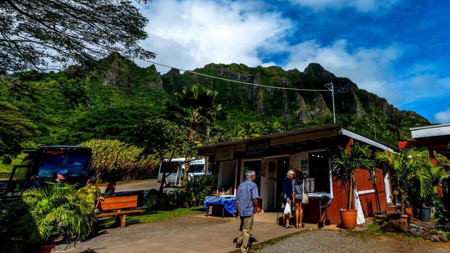 Oahu: Oahu Ultimate Grand Circle Island Tour - The guides are the heart of the experience