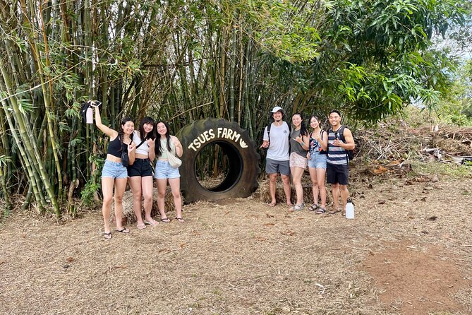 Oahu: Roundtrip Shuttle From Waikiki to Dole Plantation & Haleiwa - North Shore Macadamia Nut Company in 15 minutes