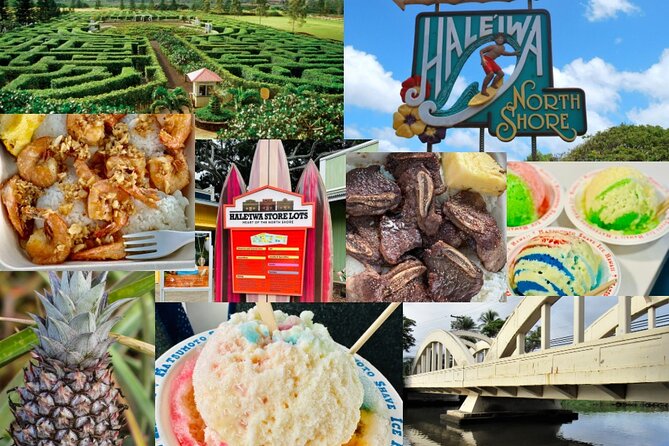 Oahu: Roundtrip Shuttle From Waikiki to Dole Plantation & Haleiwa - What the guides add to the experience