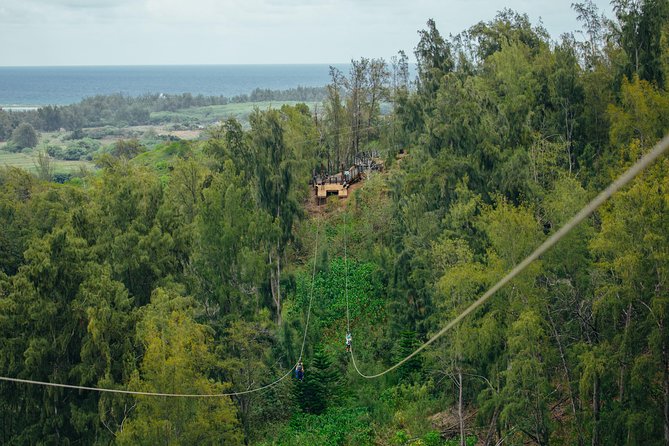 Oahu's North Shore: 8-Line Zipline Adventure - More than ziplining: rappels and sky bridges