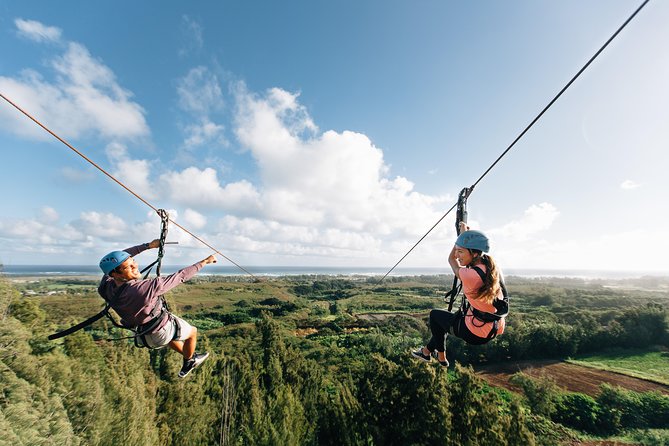 Oahu's North Shore: 8-Line Zipline Adventure - Ocean views, jungle, and the North Shore setting