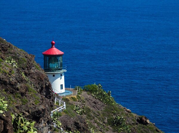 Oahu's Stunning Views: Half-Day Scenic Tour with 7 Lookouts - Key points to know before booking